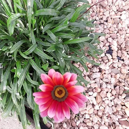 Quinta Amendoas Holiday home *