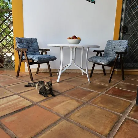 Quinta Amendoas * كارفويرو