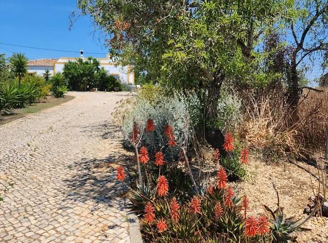 Ferienhaus Quinta Amendoas Carvoeiro (Lagoa)