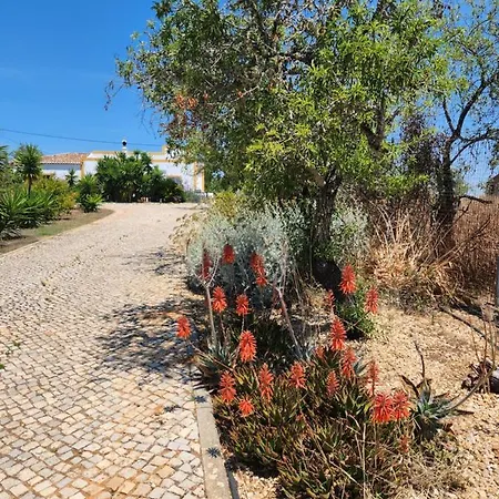 Hébergement de vacances Quinta Amendoas Carvoeiro (Lagoa)
