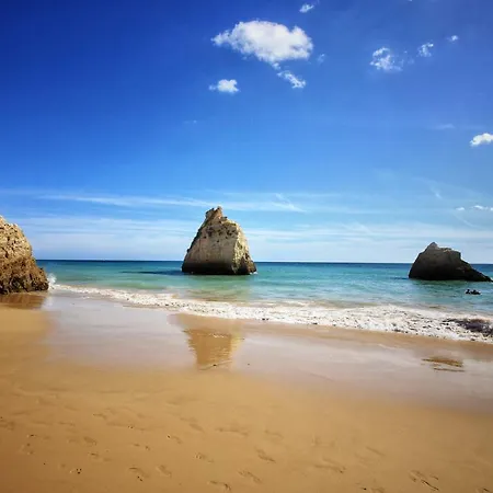 بيت للعطل Quinta Amendoas