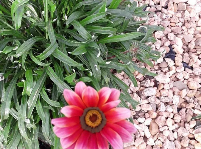 Quinta Amendoas بيت للعطل *