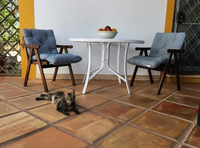 Quinta Amendoas * كارفويرو