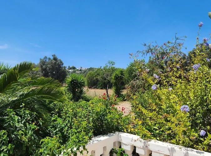 Quinta Amendoas بيت للعطل